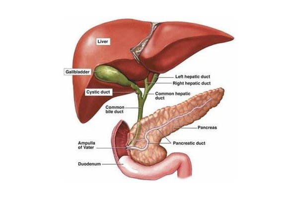 Gallbladder Cancer